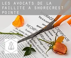 Les avocats de la faillite à  Shorecrest Pointe