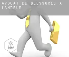 Avocat de blessures à  Landrum