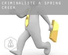 Criminaliste à  Spring Creek