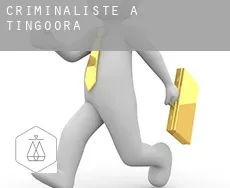 Criminaliste à Tingoora