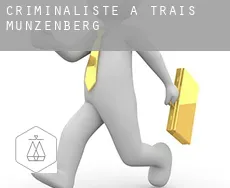 Criminaliste à  Trais-Münzenberg