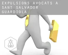 Expulsions avocats à  Sant Salvador de Guardiola