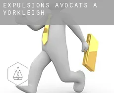 Expulsions avocats à  Yorkleigh