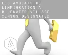 Les avocats de l'immigration à  Bluewater Village