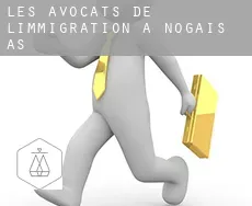 Les avocats de l'immigration à  Nogais (As)