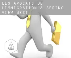 Les avocats de l'immigration à  Spring View West