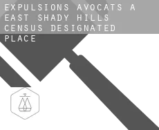 Expulsions avocats à  East Shady Hills
