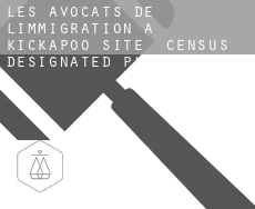 Les avocats de l'immigration à  Kickapoo Site 2