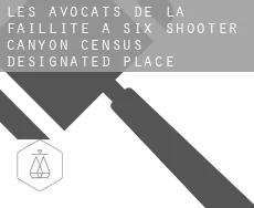 Les avocats de la faillite à  Six Shooter Canyon