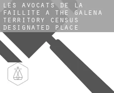 Les avocats de la faillite à  The Galena Territory