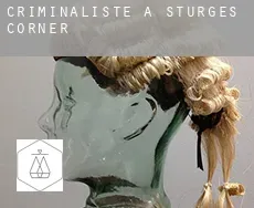 Criminaliste à  Sturges Corner