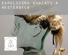 Expulsions avocats à  Westerbeck