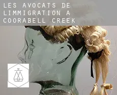 Les avocats de l'immigration à  Coorabell Creek