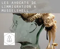 Les avocats de l'immigration à  Musselshell