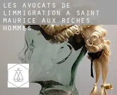 Les avocats de l'immigration à Saint-Maurice-aux-Riches-Hommes