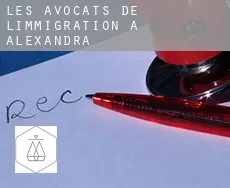 Les avocats de l'immigration à  Alexandra
