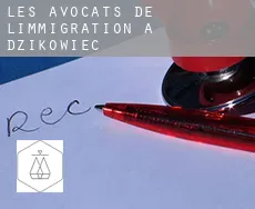 Les avocats de l'immigration à Dzikowiec