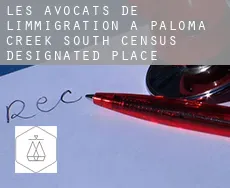 Les avocats de l'immigration à  Paloma Creek South