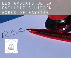 Les avocats de la faillite à  Hidden Acres of Fayette