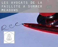 Les avocats de la faillite à  Summer Meadows