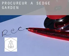 Procureur à  Sedge Garden