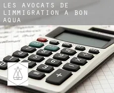 Les avocats de l'immigration à  Bon Aqua