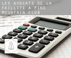 Les avocats de la faillite à  Pine Mountain Club