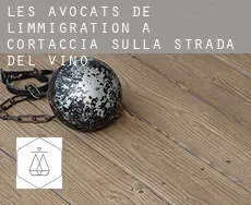 Les avocats de l'immigration à  Cortaccia sulla strada del vino