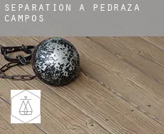 Séparation à  Pedraza de Campos