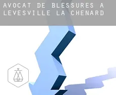 Avocat de blessures à  Levesville-la-Chenard
