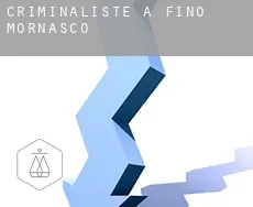 Criminaliste à Fino Mornasco