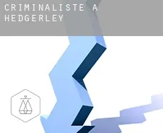 Criminaliste à  Hedgerley
