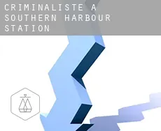 Criminaliste à  Southern Harbour Station