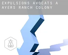 Expulsions avocats à  Ayers Ranch Colony