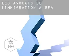 Les avocats de l'immigration à  Rea