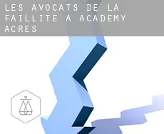 Les avocats de la faillite à  Academy Acres