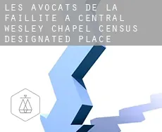 Les avocats de la faillite à Central Wesley Chapel