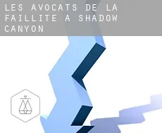 Les avocats de la faillite à  Shadow Canyon