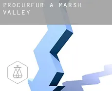 Procureur à  Marsh Valley