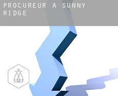 Procureur à  Sunny Ridge