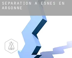 Séparation à  Esnes-en-Argonne