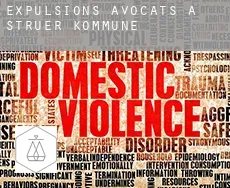 Expulsions avocats à  Struer Kommune