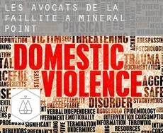 Les avocats de la faillite à Mineral Point